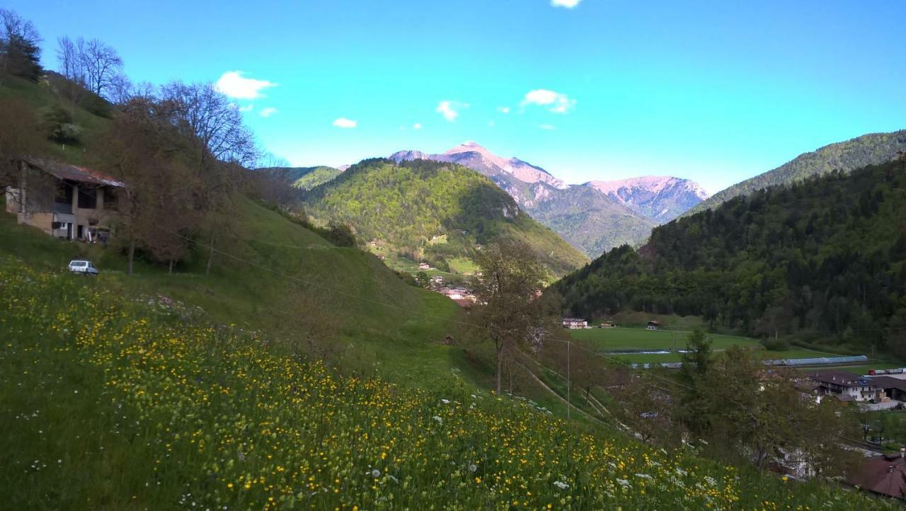 B&B Ai Pini Tiarno di Sopra Экстерьер фото